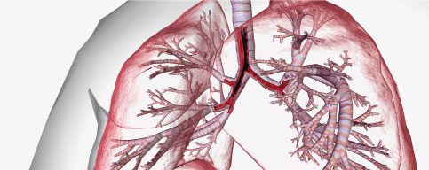 Bronchoscopy